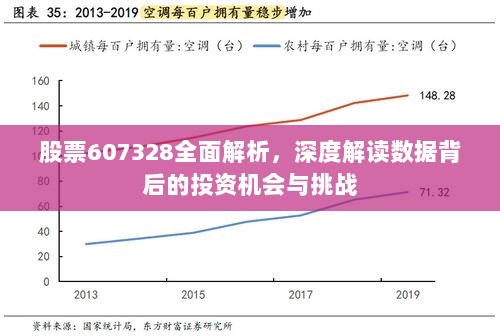 股票607328全面解析，深度解读数据背后的投资机会与挑战