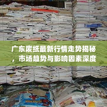 广东废纸最新行情走势揭秘，市场趋势与影响因素深度剖析