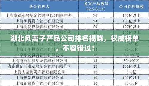 湖北负离子产品公司排名揭晓，权威榜单，不容错过！