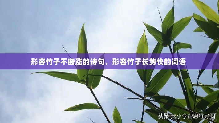 形容竹子不断涨的诗句，形容竹子长势快的词语 