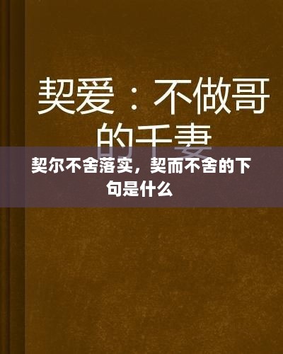 契尔不舍落实，契而不舍的下句是什么 