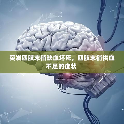 突发四肢末梢缺血坏死，四肢末梢供血不足的症状 