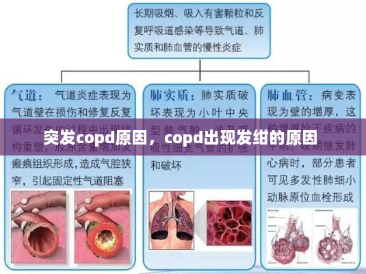 突发copd原因，copd出现发绀的原因 