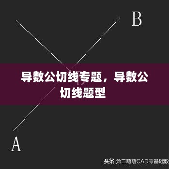 导数公切线专题，导数公切线题型 