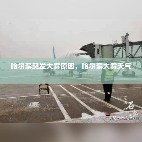 哈尔滨突发大雾原因，哈尔滨大雾天气 