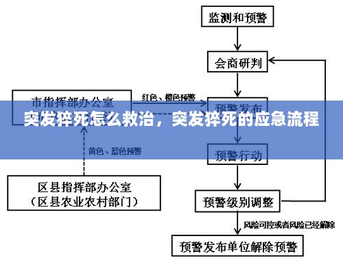 突发猝死怎么救治，突发猝死的应急流程 