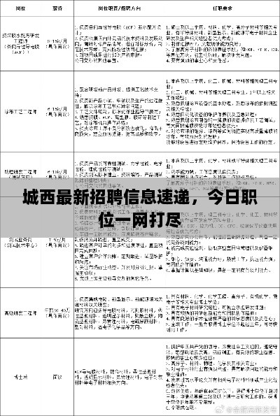 城西最新招聘信息速递，今日职位一网打尽