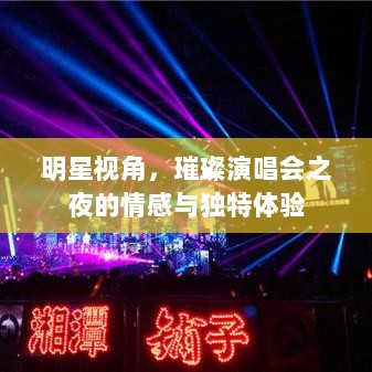 明星视角，璀璨演唱会之夜的情感与独特体验