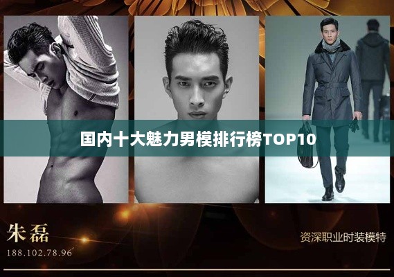 国内十大魅力男模排行榜TOP10