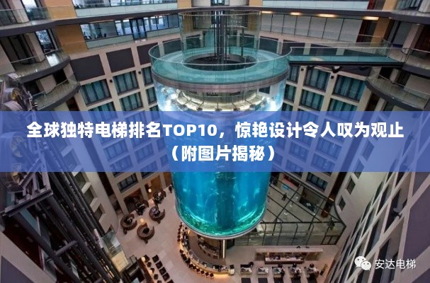 全球独特电梯排名TOP10，惊艳设计令人叹为观止（附图片揭秘）