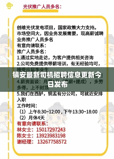 镇安最新司机招聘信息更新今日发布