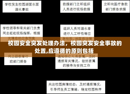 校园安全突发处理办法，校园突发安全事故的处置,应遵循的原则包括 